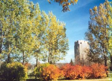 Autumn on the Capitol complex.