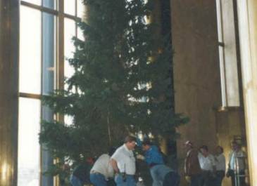 Christmas Tree Set Up-Step 4 put the tree in place.