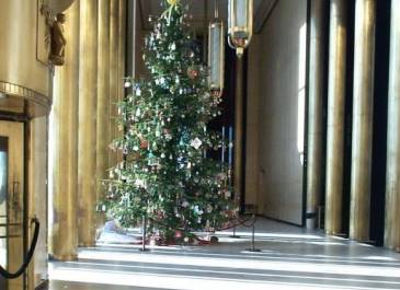 December 2003-Tree Dedicated to Our Troops.