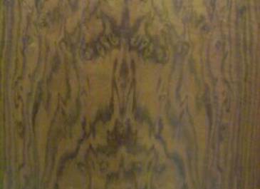 Monkey Room-Walls are rare California walnut and is a popular stop on the Capitol tour.