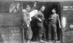 Men in a boxcar