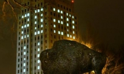 Capitol Building with Buffalo statue