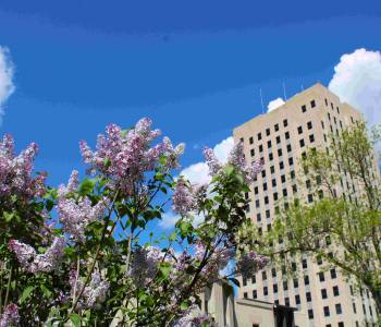 North Dakota Capitol in Spring